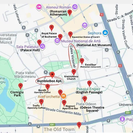 Bumblebee With Cozy Balcony Near Victoriei Avenue Apartment