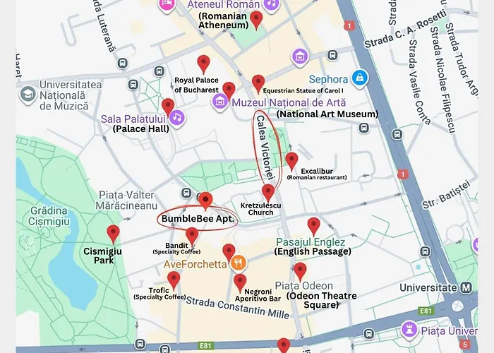 Bumblebee With Cozy Balcony Near Victoriei Avenue Apartament